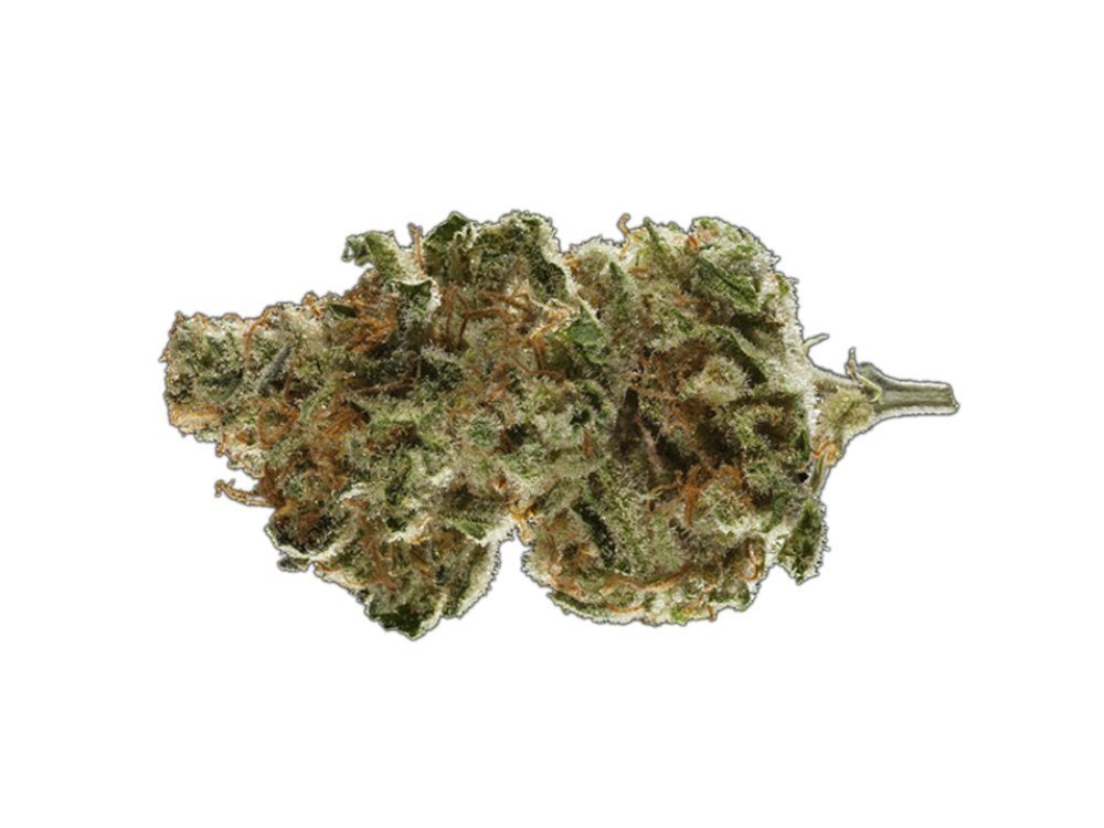 Orange Cookies